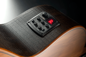 GLA-SAUVAGE-BCE-9-Btimmer