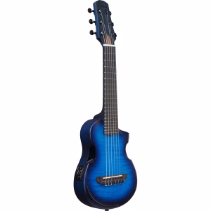 IbanezAUP10FMNE-TBO2