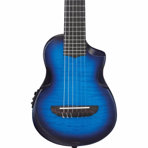 IbanezAUP10FMNE-TBO4