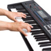 timmerjuno-gi_hands_keyboard_gal