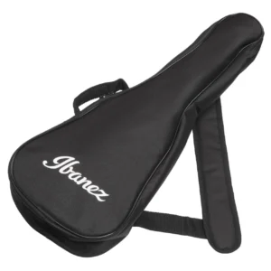 Ibanez_AUP10FMNE_TBO aa