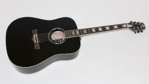 timmerfckbs7vf9cpxhm2a2hi9