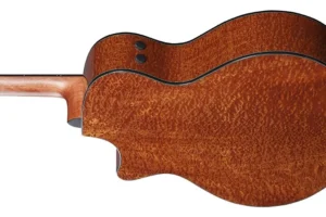 timmer2022_AE275SPM_NT_1X_01_back-side