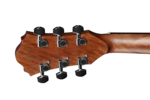 timmer2022_AE275SPM_NT_1X_01_headstock-rear