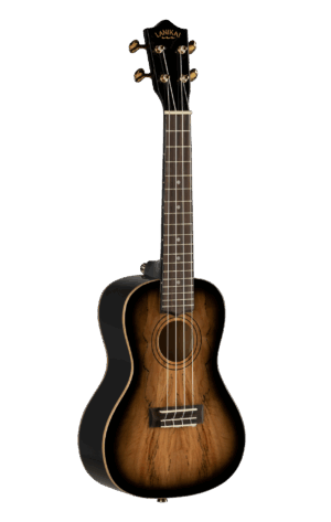 timmerLKUSMBB-CX_03_side_web_original