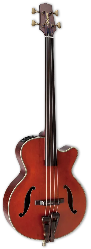 Takamine DB10 Fretloze Elektro Akoestische Contrabas-gitaar Incl. Luxe Koffer