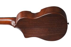 timmerp_region_AUP10N_OLB_2Y_02_sub_2