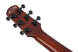 timmrep_region_AUP10N_OLB_2Y_02_sub_1