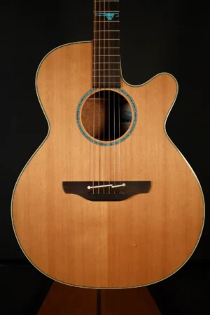 timmerCF093A91-EAC1-494C-87D0-2ECEECB6D93F_1_201_a