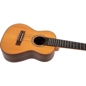 timmerDiana-Soundwave-Concert_4