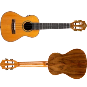 timmerDiana-Soundwave-Concert_5