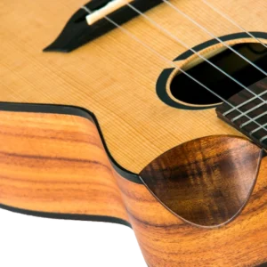 timmerFlight-Victoria-Soundwave-Concert-4-1