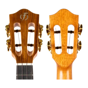 timmerSophia-Headstock