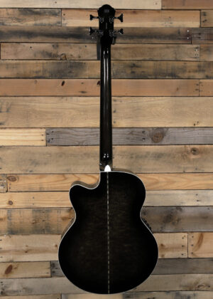 michael_kelly_dragonfly_4_-_smokeburst_body4