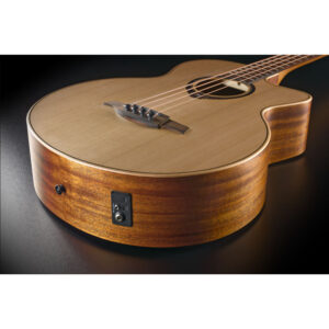 timmer5acoustic-bass-cutaway-satin
