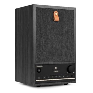 Audizio Canzo Zwart Internetradio DAB+, FM, Bluetooth, Wekker Incl. Afstandsbediening