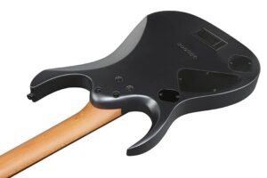 timmerp_region_RGD61_BAM_1P_01_sub_2