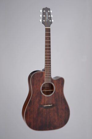 Takamine GD21CE-SM Elektro Akoestische Dreadnought Gitaar