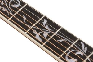 timmerfeat_AW391RCE_fretboard