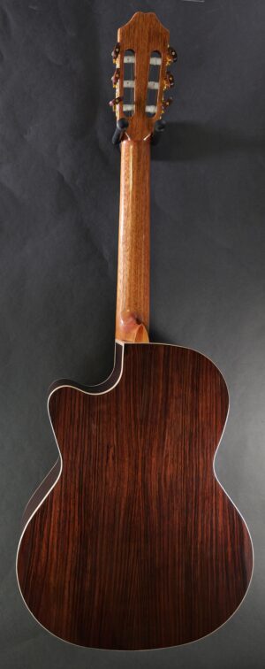 juan-salvador-6ae-hybrideae