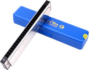 timmer71A80XiJQGL._AC_SL1500_