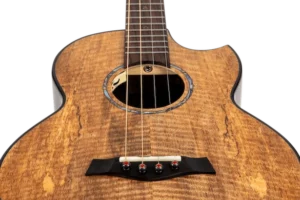 timmerUkulele-MAIA-BARITONE-apr-2024-12-of-17-1