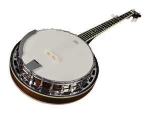 TimmerRichwoodBanjo_2