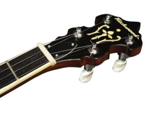 TimmerRichwoodBanjo_3