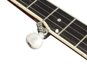 TimmerRichwoodBanjo_5