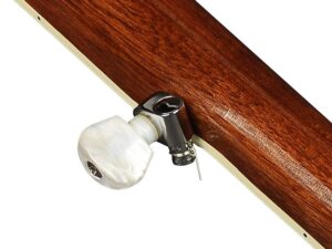 TimmerRichwoodBanjo_6