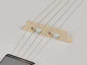 TimmerRichwoodBanjo_8