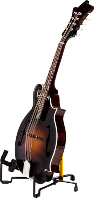 hcgs-303b_1