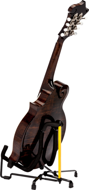hcgs-303b_2