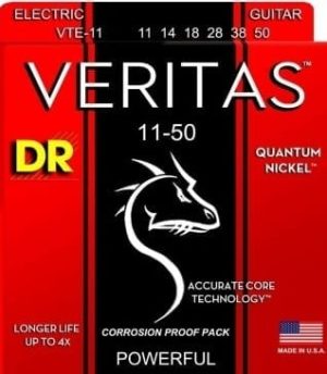 DRveritasVTE11