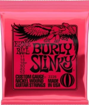 ErnieBall2226