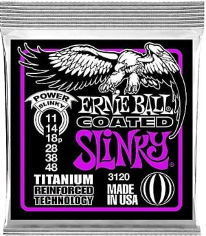 ErnieBall3120