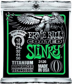 ErnieBall3126