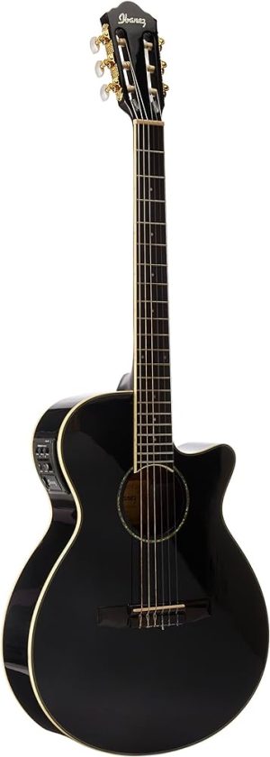 IbanezAEG10black
