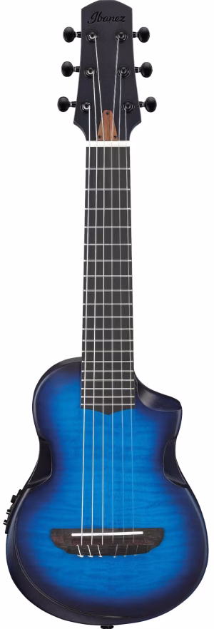IbanezAUP10FMNE-TBO1