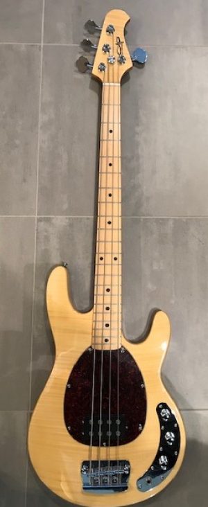 OLP_tigerstr_musicmanNat33 (2)