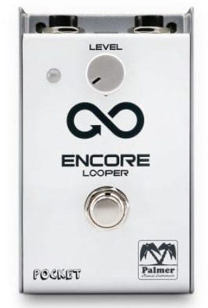PalmerLooperPocket