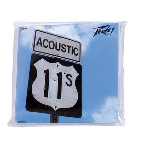 PeaveyAcoustic11