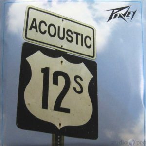 PeaveyAcoustic12