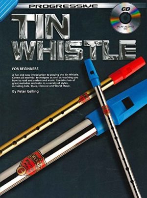 ProgressiveTinWhistle