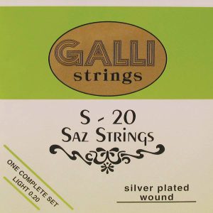 S-020_Galli