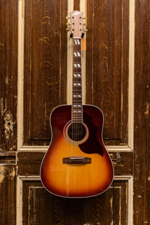 StanfordD-BirdBurstVoorkanttimmer