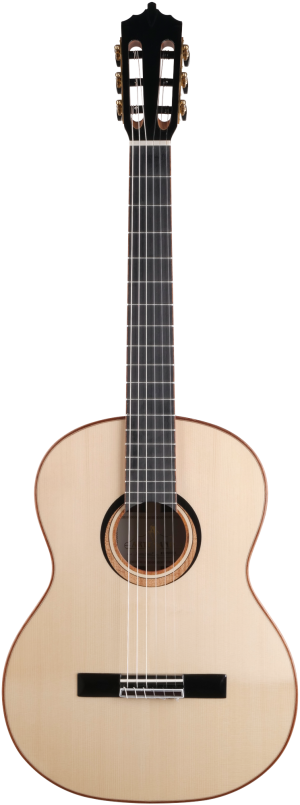 argne-web-original_rotated