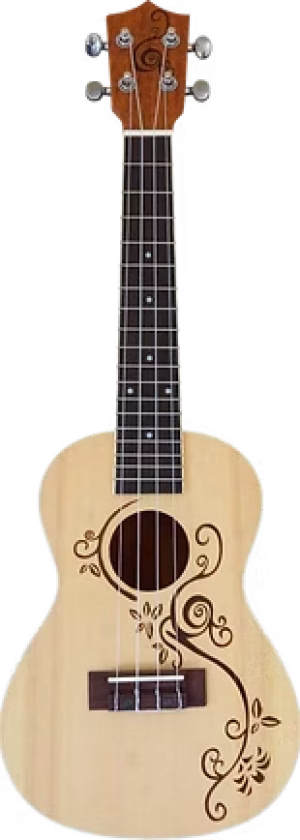 timmerDSC09774_edited_edited