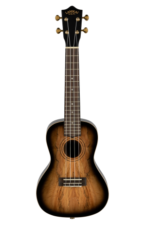 timmerLKUSMBB-CX_web_original