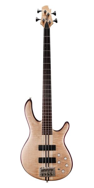 timmercort-artisan-a4-plus-opn-fmm-guitar-gal-1